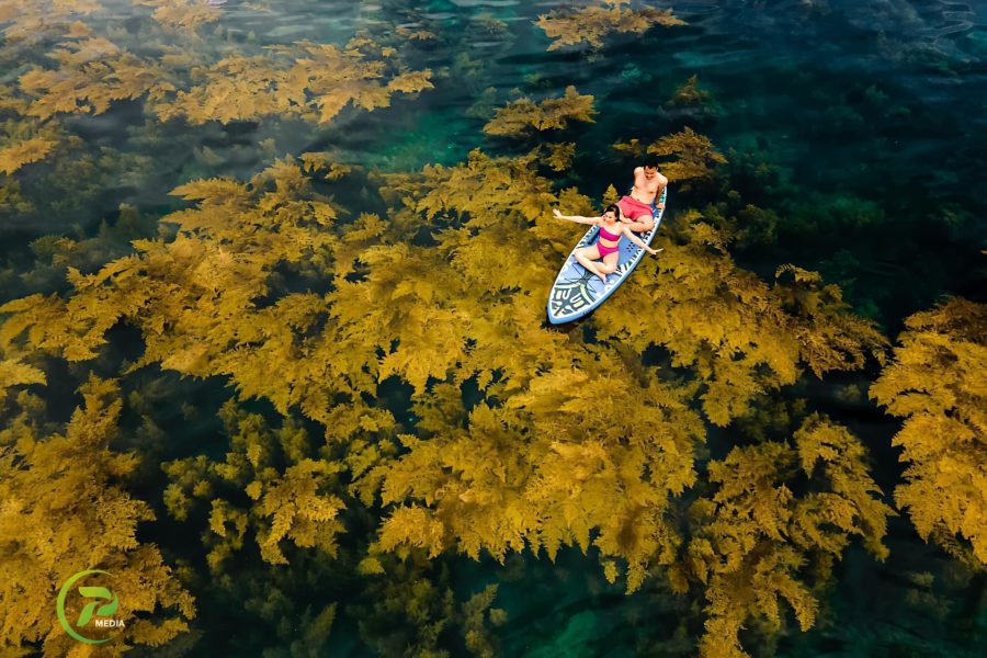 Kỳ Co – Hòn ngọc biển Đông